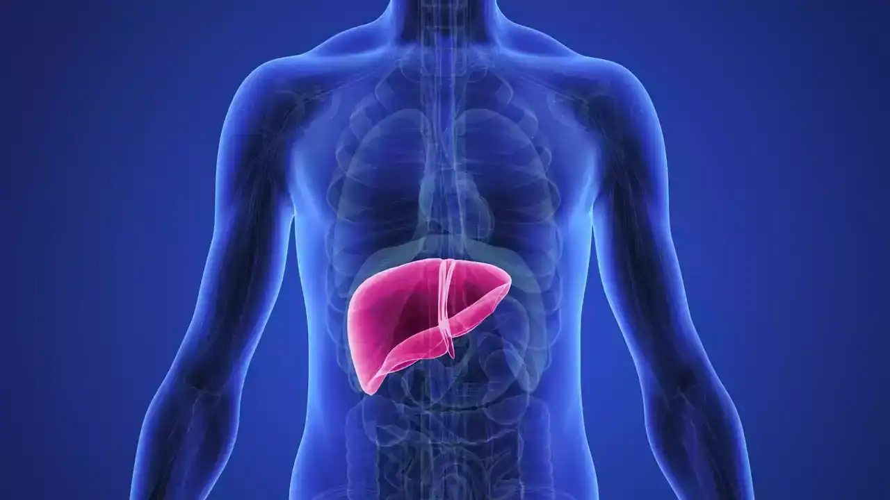 Stem Cell Treatment for Liver Cirrhosis in the USA 2