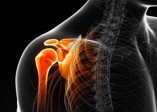 cartilage shoulder tears chicago 2